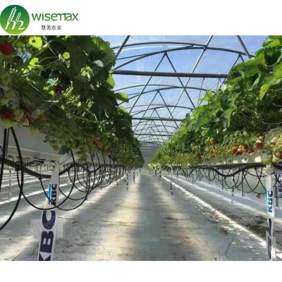 China Aeroponics UV Resistant System Large Tunnel Film Greenhouse For Tomato for sale