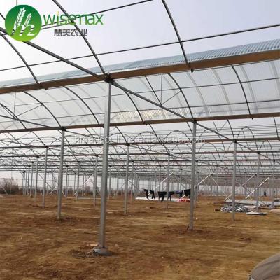 China Waterproof Multi Complete Tunnel Tomato Plastic Greenhouse Agriculture With Low Cost for sale