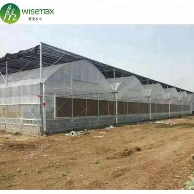 China Waterproof Widely Used Low Cost Agricultural Greenhouse Morocco For Tomato for sale