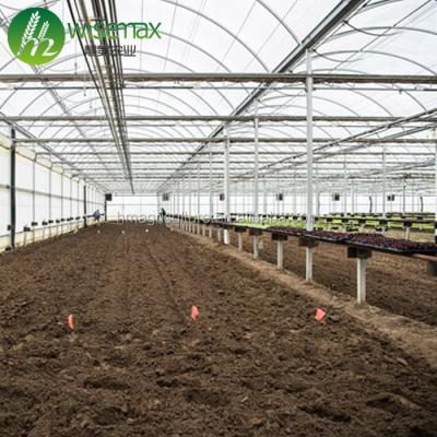 China Waterproof Prefab Galvanized Frame Multi-span Tunnel Melon Greenhouse for sale