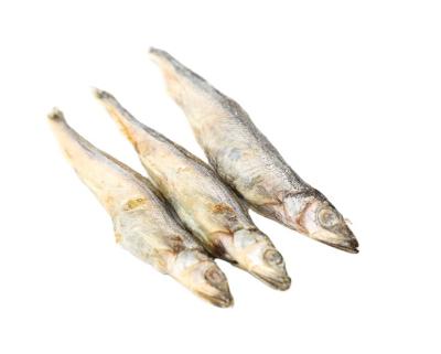 China Skin & Wholesale Coat Health Manufacturers Pet Snacks Freeze Dried Capelin Fish For Dogs And Cats Pet Food for sale