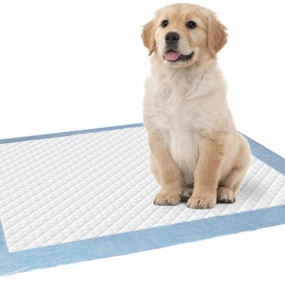 China Stocked Soulucid OEM Water Absorption Strong Disposable Puppy Traning Animal Pet Pads Doggie Pet Pee Pads for sale