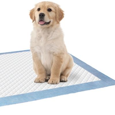 China Lily Girl Soft Disposable Pet Underpads Comfortable Plain Weave Pad Customized Super Good Pet Pads for sale