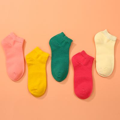 China Summer New Antibacterial Cute Solid Invisible Non-slip Cut Low Socks Casual Cotton Breathable Candy Color Stocking Cut Out Socks for sale