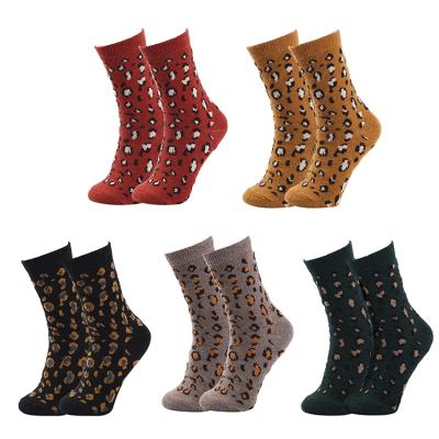 China New Arrival Women Wool Socks Antibacterial Warm Winter Fashion Knit Thick Warm Crew Socks Ladies for sale