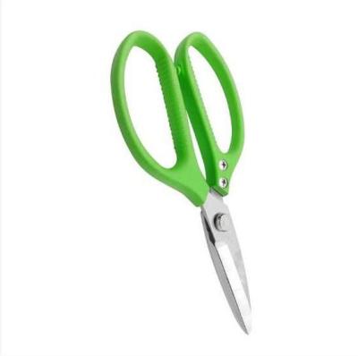 China Multifunctional industrial grade scissors of anti-skid handle 8 inch chicken bone garden fruit tree household special scissors for sale