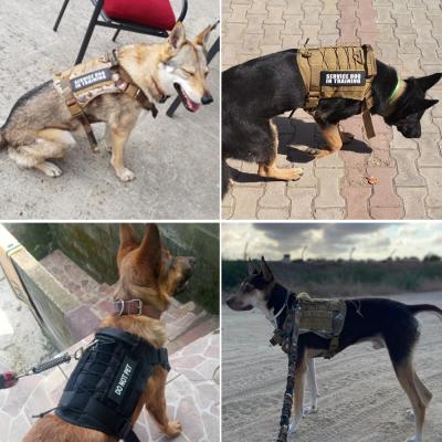 China Viable Hot Selling Wholesale Tactical Amazon Dog Harness Vest Dog Vest For Dog Training for sale