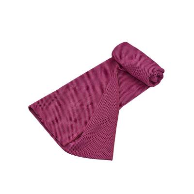 China High Quality Towel 100% Polyester Sustainable Cooling Fast Cooling Towel for sale