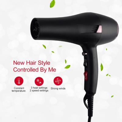 China Portable Home Ion Hair Dryer Hair Tools Wholesale Ionic Hair Dryer Custom Travel for sale