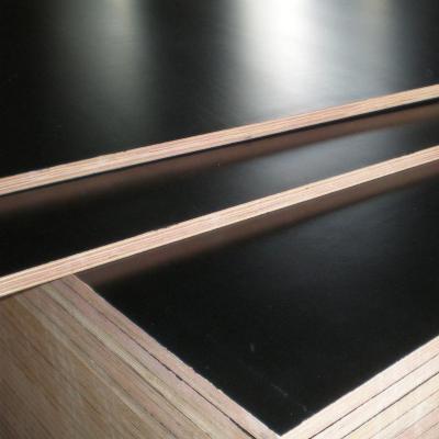 China Modern Factory Sales Black Film Faced Plywood For Construction for sale