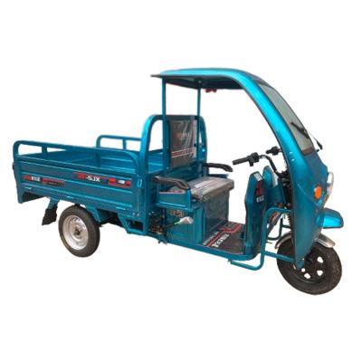 China New Factory Customized Cargo Energy Vehicle Factory Customized Large Power Electric Cargo Tricycle With Roof for sale