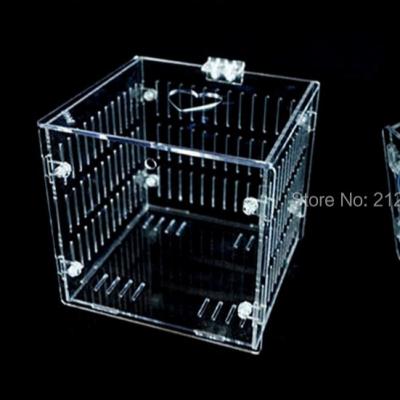 China Viable Aquarium Isolation Acrylic Breeding Box For Cubic Room Aquarium for sale