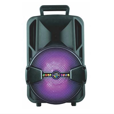 China Yes Promotion T-811 8 Inch Outdoor Height Power PA Portable Rechargeable Blue Tooth Speaker for sale