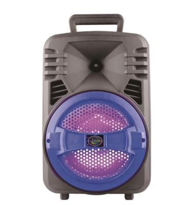 China Outdoor Stage PORTABLE High Quality Speaker Trolley Plastic Speaker for sale