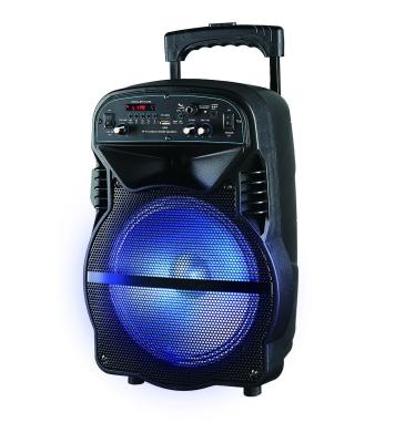 China T-1012 Portable Portable Speaker 10 Inch TWS Karaoke Cart Speaker with Built in Battery and Amplifier for sale