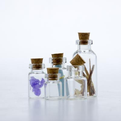 China 0.5ml 1ml 2ml 3ml 5ml clear cosmetic glass wishing bottle, drift bottle, penicillin bottle with cork for sale