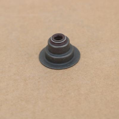 China Engine Parts Hot Sale ISG Engine Parts Intake Valve Seal 3696555 3695789 for sale