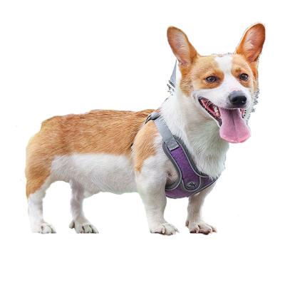 China Wholesale Designers Breathable Adjustable Reflective Vest Product Economical Padded Dog Harness With Leash for sale