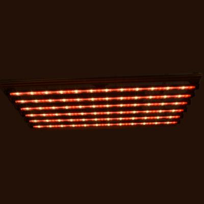 China Vegetable Fruit Greenhouse Commercial Flower Growing Lights HQ Led Plant Growing Light Vertical Farm Best For Growing Led For Hydroponic System for sale