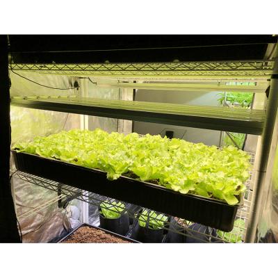 China FLOWER Lamp Full Body CE Certification Aluminum Spectrum LED Grow Light Hydroponics for sale