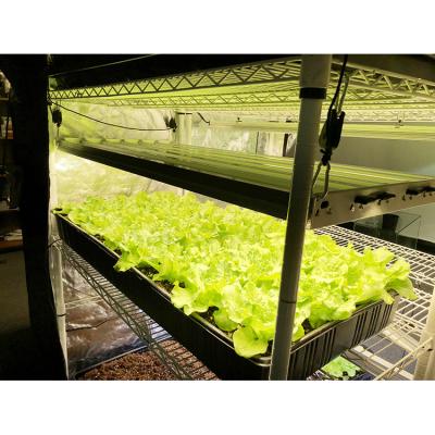 China FLOWER hot sale! Greenhouse Lights 7pcs Popular Hydroponic Panel 3GP King LED For Growing Light for sale