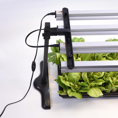 China VEG Hydroponic Growing Systems Full Spectrum LED Grow Light For Lettuce for sale