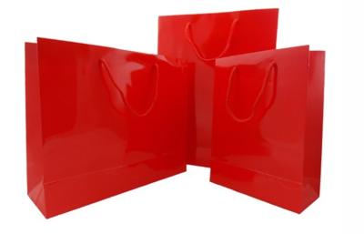 China CE Approved Large Nylon Rope Luxury Paper Shopping Bags For Gift for sale