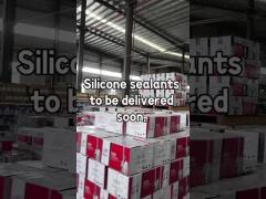 SILICONE  SEALANT1