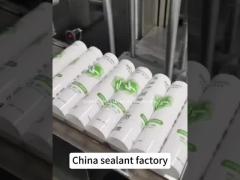 silicone sealant8