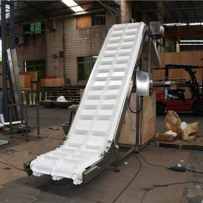 China Customized Food Grade Food Grade Stainless Steel PP/PVC/PU Inclined Double Conveyor Belt Conveyor for sale