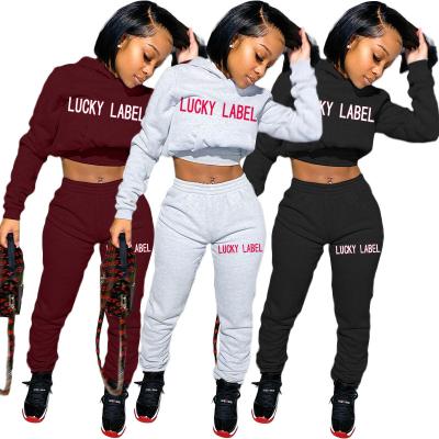 China Anti-pilling Cotton Top OEM/ODM Custom Ropa Logo Joggers 2 Piece Crop Top Two Piece Pants Set Embroidered Sweatpants And Hoodie Set Women for sale