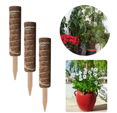 China Garden Props 40cm Long Pole Plant Pole Brown Climbing Column Garden Accessories 40cm Green Stick Dill Coconut Tree for sale