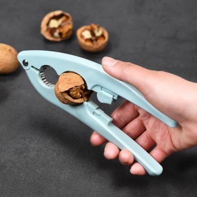 China Kitchen Helper 2022 Latest Hot Selling Nut Hazelnut Walnut Peeler for Kitchen Home Use and Tools for sale