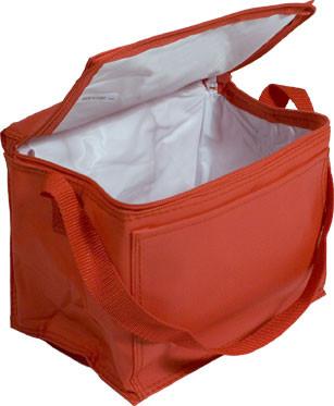 China traveling cooler bag for medication for sale