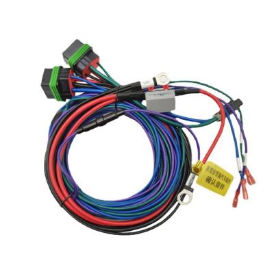 China New 40A Electric Vehicle Relay Power Supply Power Storage Cable Harness Automotive Waterproof Cable Battery Connection for sale