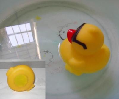 China Newest weighted duck for duck race,Floating weighted serial numbers rubber race duck for sale