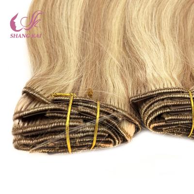 China Silky Straight Wave Seamless Clip In Hair Extensions Colored Hair Extension for sale