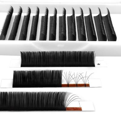 China Natural Soft Lashes Best Volume Eyelashes Auto Fanning Silky Eyelash Extension Eyelash Extensions for sale