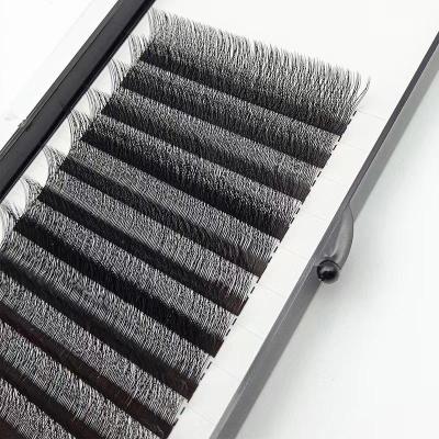 China Yy Eye Lashes Extensions Natural Soft Top Selling Premade Eyelash Extension for sale