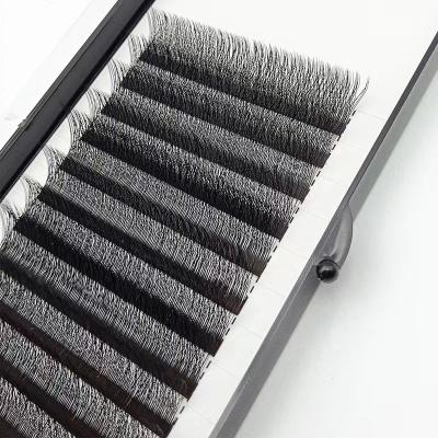 China yy natural soft private label eyelash extension yylash custom made eyelash lash extensions different lashes trays for sale