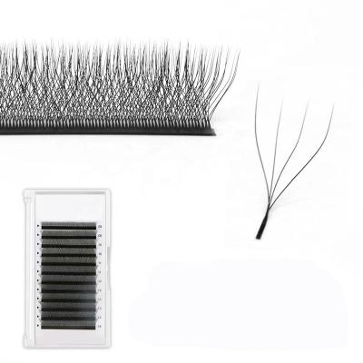 China Natural Soft Save Your Time Roots 5d Fans W Extension Five Leaf Clover Silk Eyelash Extension 5 for sale