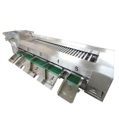 China Vegetable Potato Carrot Cucumber Onion Potato Cucumber Grading Machine Snack Factory Fruit Apple Sorter for sale