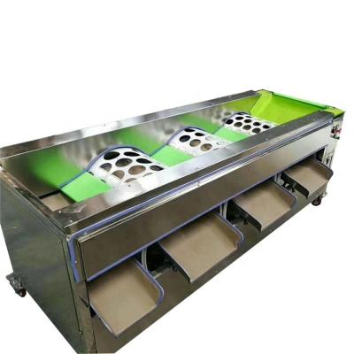 China Fruit processing plant around vegetable fruit machine grading vegetable and fruit sorter for sale