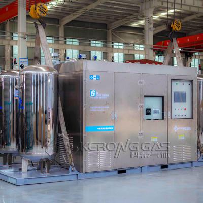 China Stainless Steel CO2 Gas Gas Purification System With Online Monitor for sale