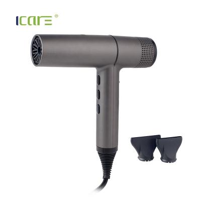 China Other Newest Arrival Good Quality Mute Function Brushless Motor Professional Hair Dryer for sale