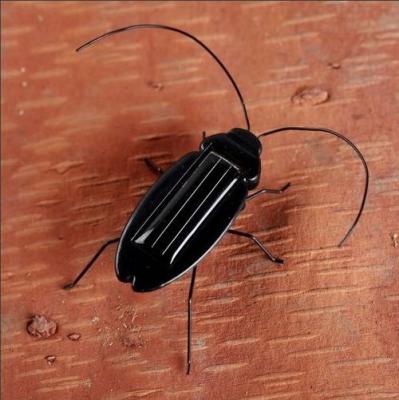 China Solar Toys ABS Plastic Insect Cockroach Toy ABS With CE RoHS Certificates for sale