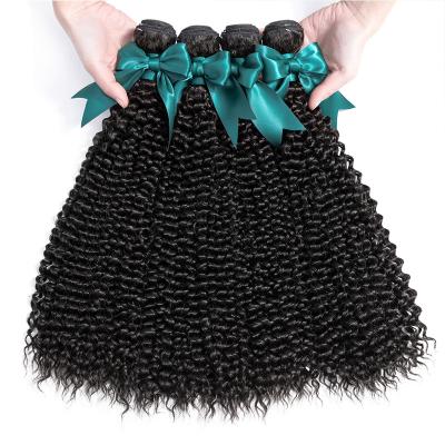 China Virgin Brazilian Kinky Curly Water Wave Hair Bundles With Closure Hair Weaves Bundles for sale