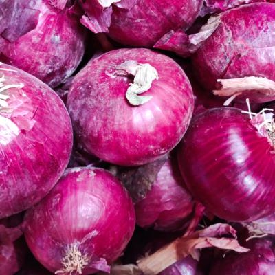 China Fresh Fresh Red Onion Exports From China To Sri Lanka for sale