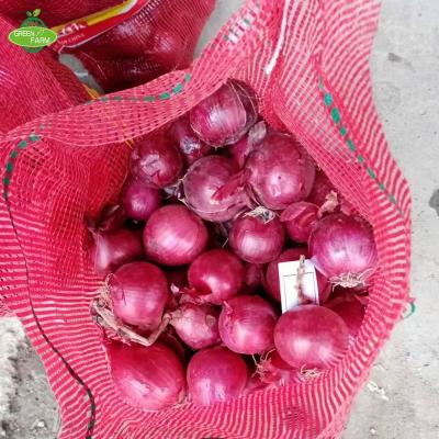 China Fresh Fresh Red Onion 5-7cm Packing 20kg Mesh Bags Hot Sale for sale