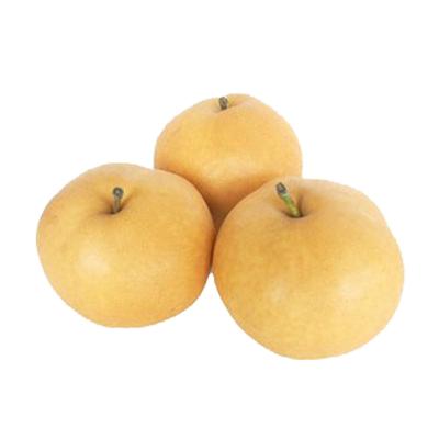 China New Fresh Chinese Corp singo pear for sale, high quality pear from singo for sale